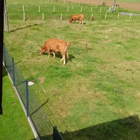 Maison Conviviale A Avec Jardin 度假居 Épreville-en-Lieuvin