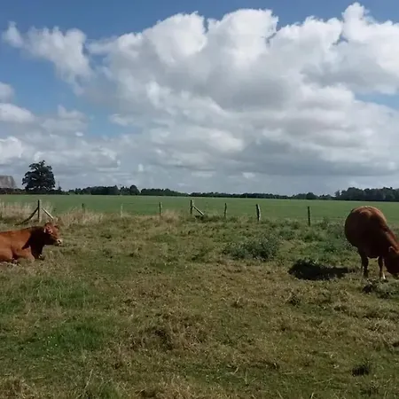 Maison Conviviale A Avec Jardin *